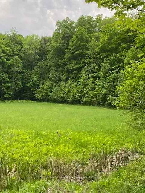 Land For Sale in South Frontenac, Ontario