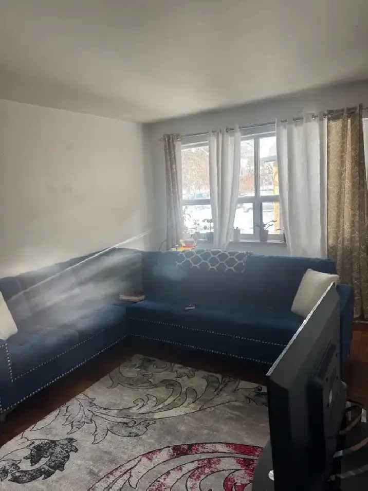 Rent Stylish One Bedroom Apartment in Prime Location Near Lake Ontario