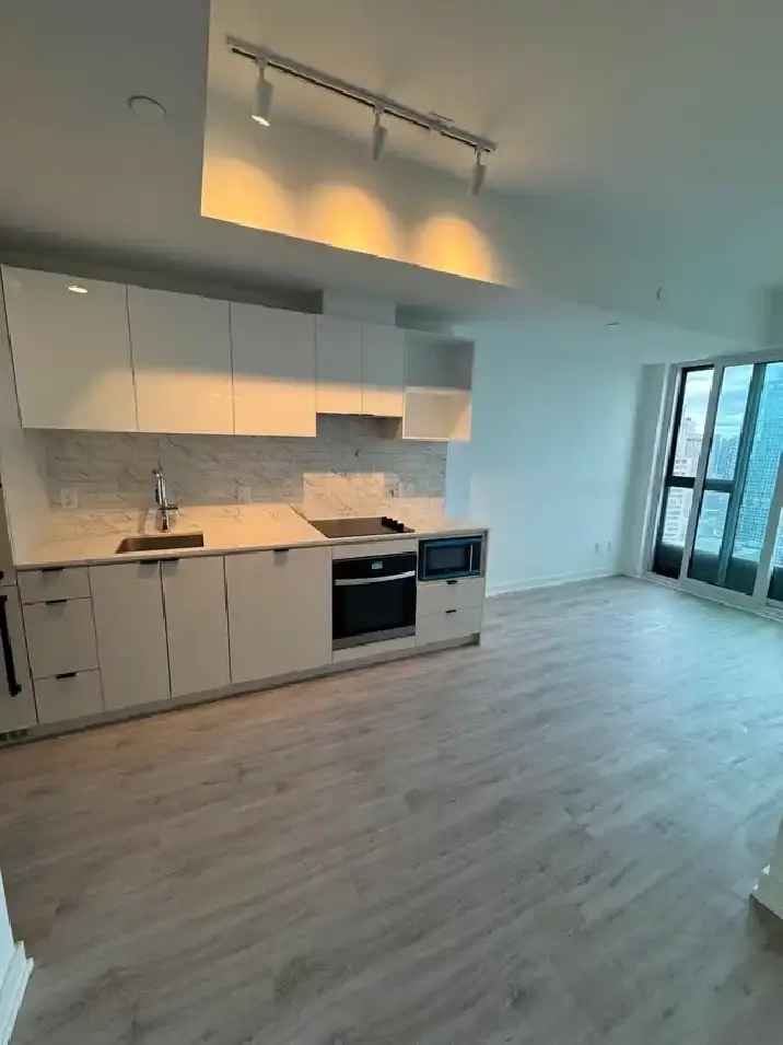 Downtown 1 Bedroom Condo for Rent