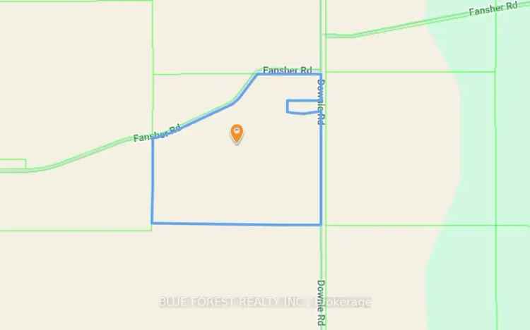 81 Acre Cash Crop Farm in Dawn Euphemia