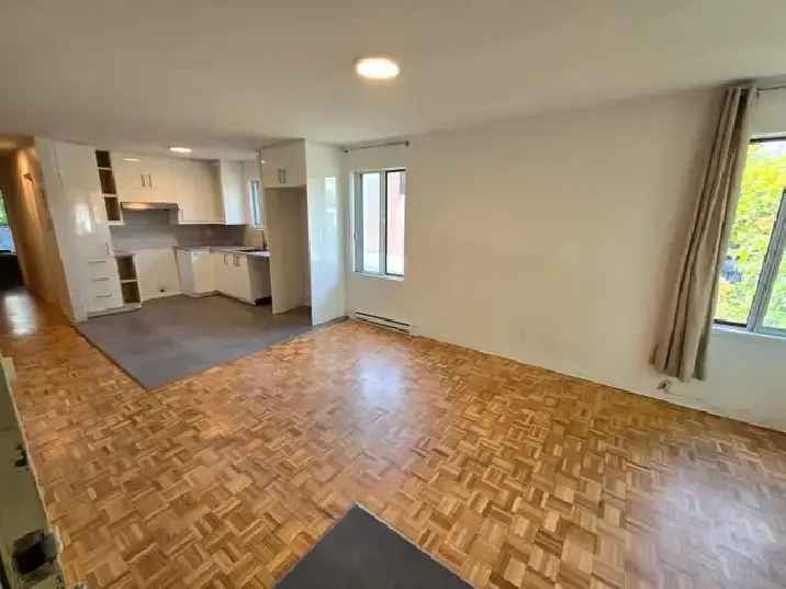 Ville-Emard 2 Level Condo 2 BR Modern Renovated Balcony Yard