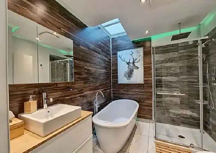 Spacious 4 1/2 Rosemont Apartment - Updated Bathroom, Private Balconies