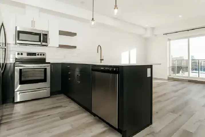 Luxury 2 Bedroom Apartment for Rent in Wolseley!