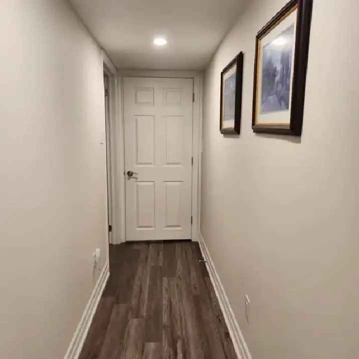 A clean, beautiful room for rent in the basement of a house