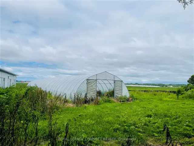 9.431 Acres Farmland with 3-Bedroom Bungalow and Storage