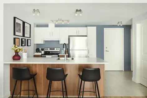 1 room apartment of 70 m² in Montreal