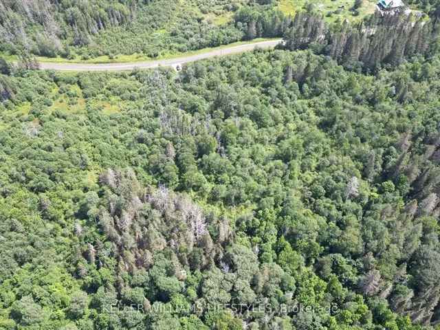 35.44 Acres Wooded Land Country Paradise Near North Bay