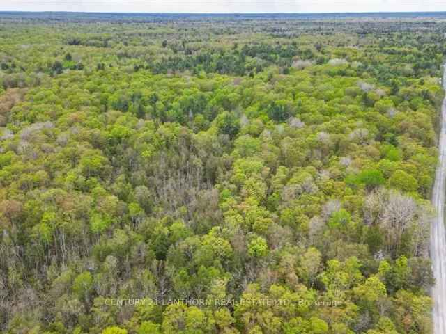 97 Acres Untouched Wilderness w Cabin Road Frontage Abundant Wildlife