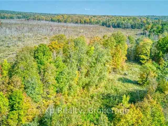 34 Acres of Natural Beauty Land O Lakes Recreational Getaway