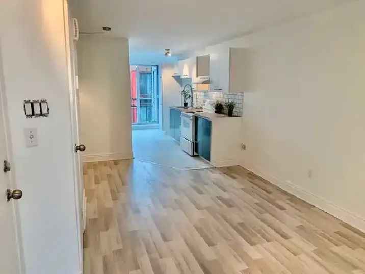 Renovated 3 1/2 Apartment in Vieux-Rosemont
