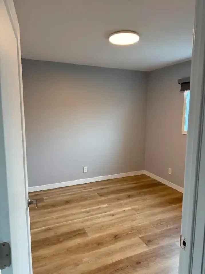 Room Rental Near Subway and Dufferin Mall