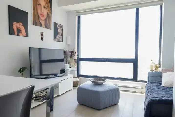 Rent Condo in Montréal with Stunning City Views and Amenities