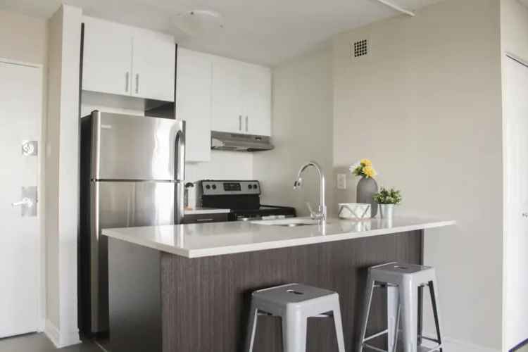 Apartment For Rent in 1101, Rue Rachel Est, Montreal, Quebec