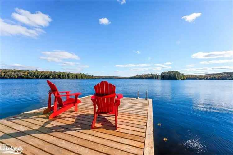 Buy Cottage with Spectacular Lake Views on Soyers Lake