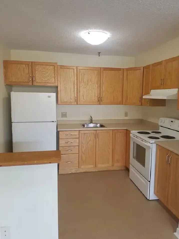 Fantastic Bachelor Apartment North End Halifax