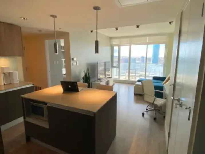 FULLY FURNISHED - ONE BEDROOM SUITE W. INCREDIBLE DOWNTOWN VIEW