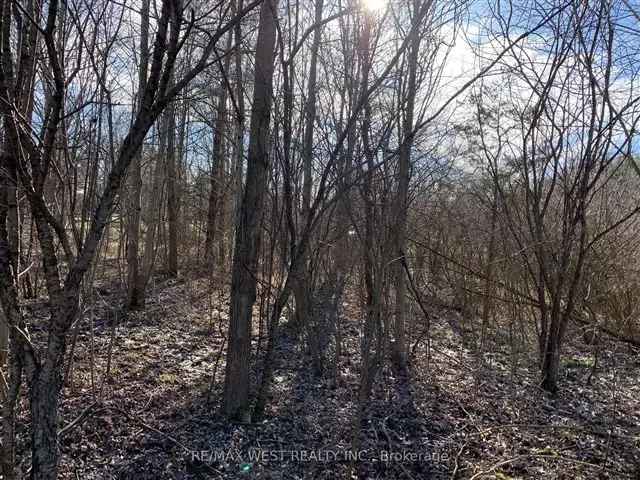 Wooded Lot Near Dunnville Grand River Development Potential