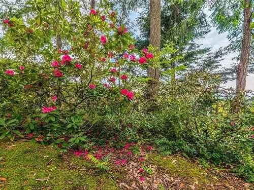 Ocean View Lot for Sale in Nanaimo College Heights