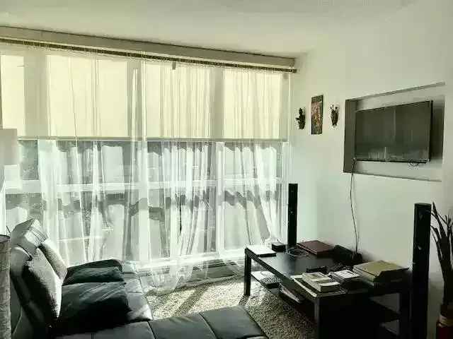 1 Bed 1 Bath Apartment near SFU - Available May 2025