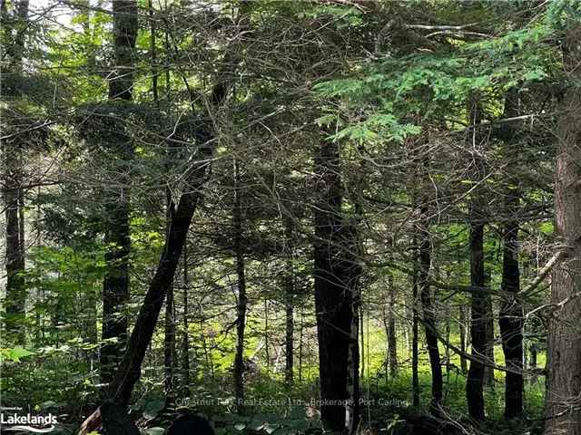 Muskoka Lot for Sale Near Huntsville and Rosseau