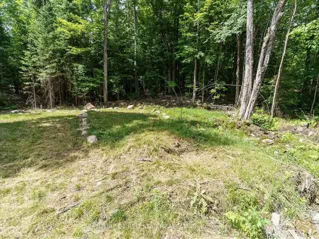 10-Acre Lot near Haliburton - Septic, Well, and More