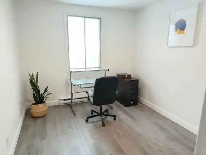 5 1/2 Ville Emard Apartment 3 Bedrooms Big Backyard