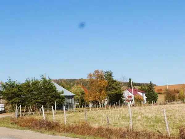 3-Bedroom Century Home for Sale Near Charlevoix