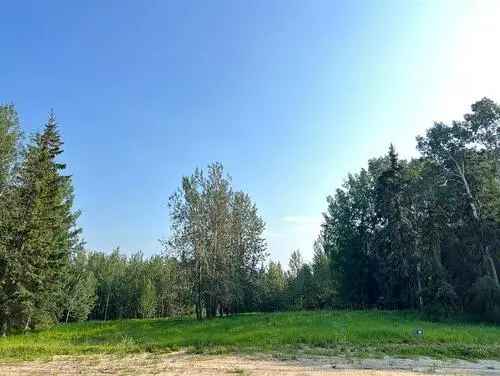 Vacant Land For Sale In Rural Grande Prairie No. 1, County of, Alberta