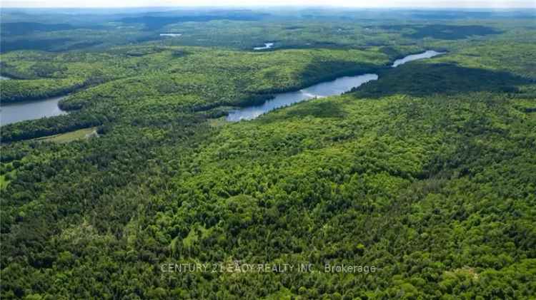 Large Waterfront Acreage near Calabogie - Hunting and Recreation