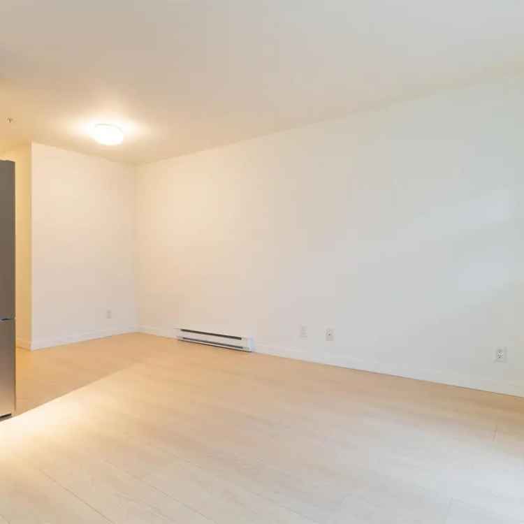 One Bedroom Suite Near Downtown and Canada Line