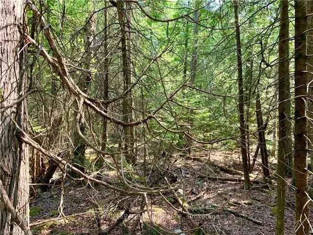 Bruce Peninsula Lake Huron Building Lot 2.63 Acres