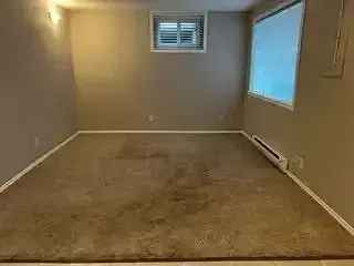 Bankview Walkout Basement Suite - Newly Renovated