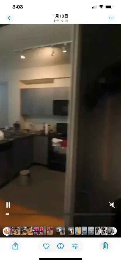 Toronto downtown condo rent
