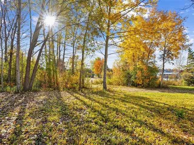 Land For Sale in Kawartha Lakes, Ontario