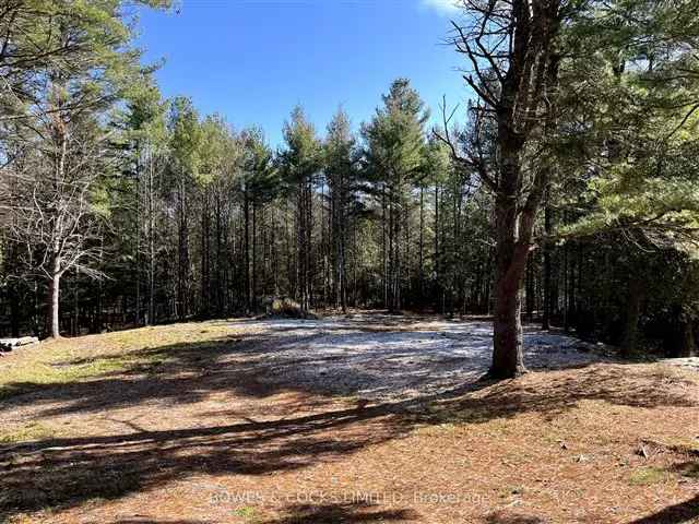 5-Acre Private Lot For Sale Near Chandos Lake