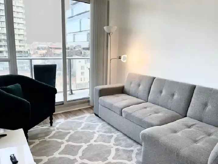 Furnished Luxury Two Besroom Condo Unit Downtown Toronto