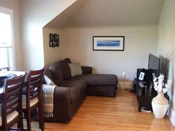 Rent 2 Bedroom Suite in The Junction with Large Yard and Modern Amenities