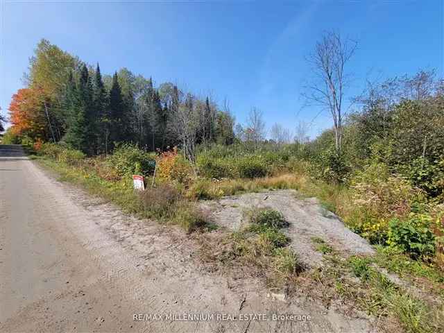 Magnetawan Vacant Lot 1 Acre Cottage Country New Driveway