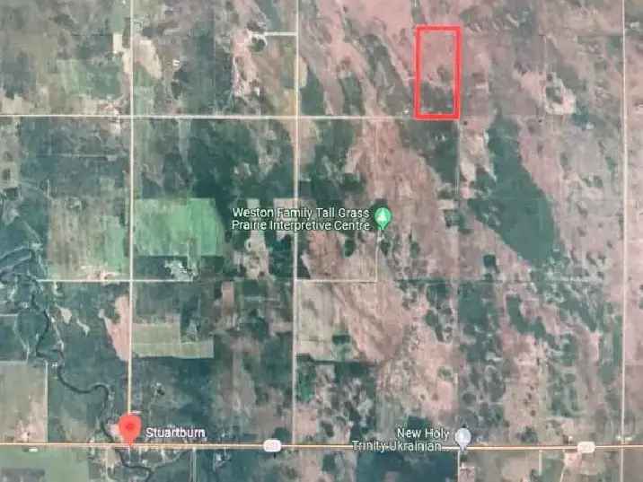 80 acres Hunting Land