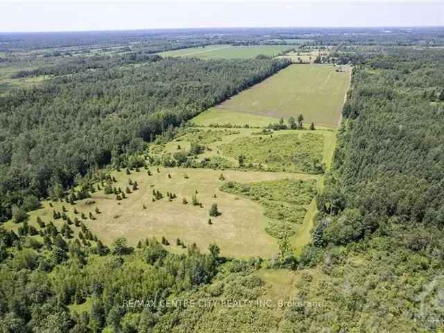 95 Acres Farmland North Augusta Hunting Recreation Soybeans