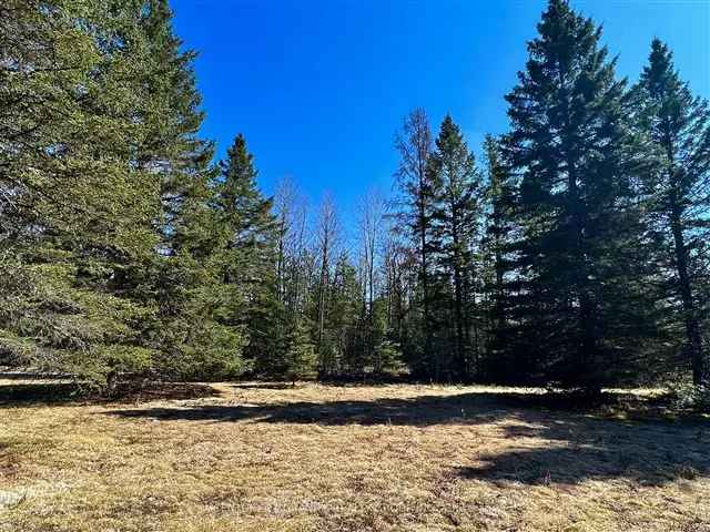 8 Acre Off Grid Lot Egan Creek Access Hunting Retreat