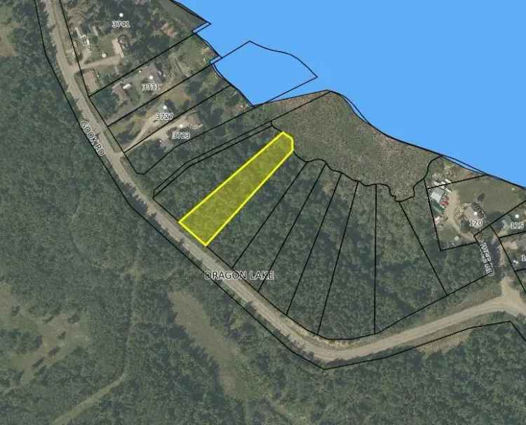 Lakefront Lot for Sale on Dragon Lake