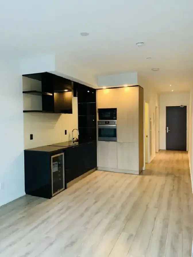 TORONTO Financial District INDX Condo for Lease Nov 1