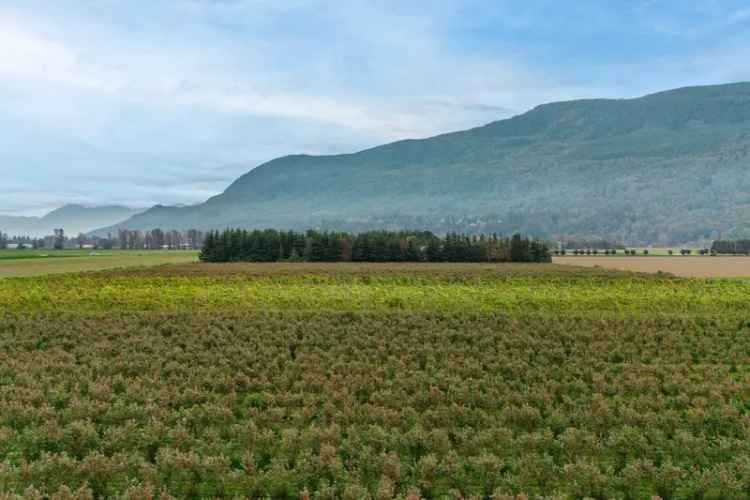 A $8,990,000.00 House with Acreage with 5 bedrooms in Sumas Prairie, Abbotsford