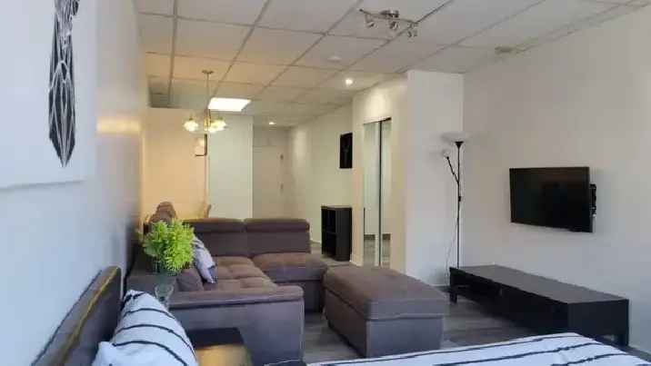 Rent Bright Spacious Studio Downtown Montreal with Desk and Pool