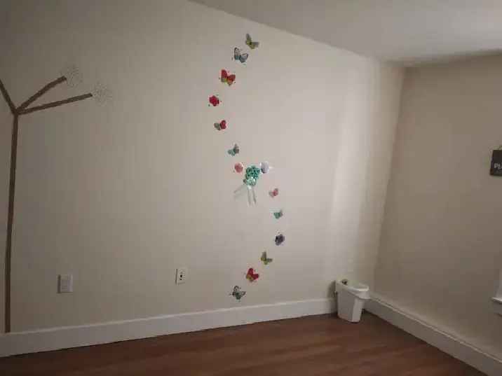 private room for rent in 2 bedroom apartment