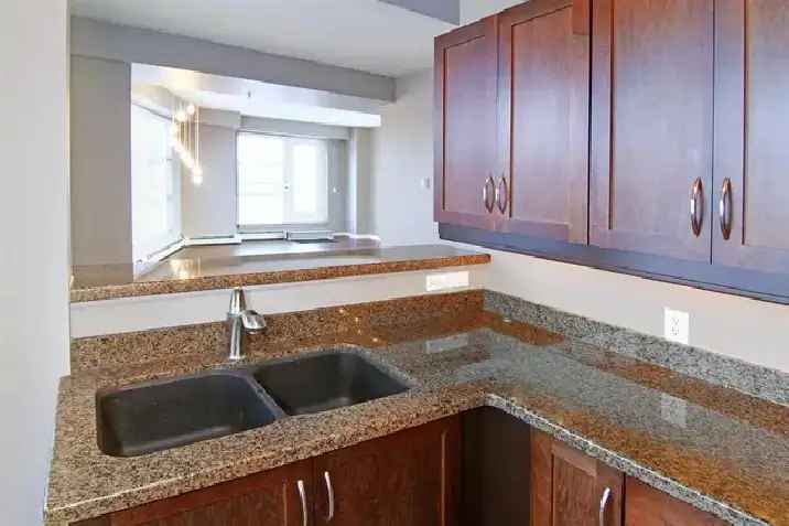 DT Rooftop Condo 1460SF 2Bd2Bth Walk to DT 24Hr Security Parking