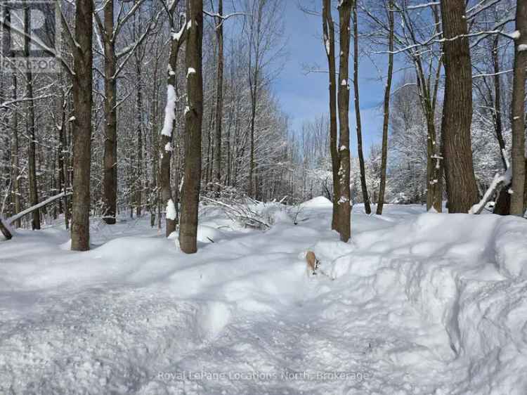 Half Acre Treed Lot Eugenia - Near Lake Eugenia and Beaver Valley