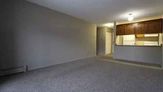 1 room apartment of 61 m² in Calgary