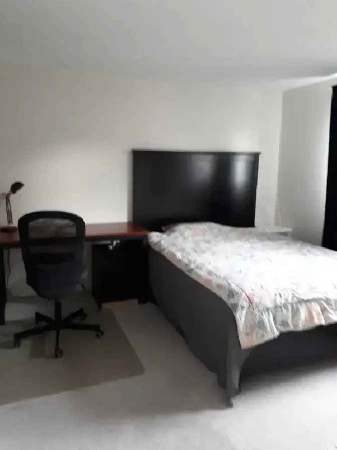 A big room for holiday rent only (Dec.22-Dec.31) - Near O train